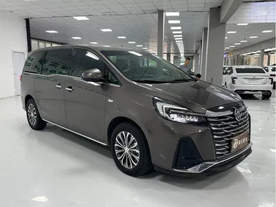 2023 Buick GL8 Land Business Class 652T Luxury, фото 3, лот 10254064