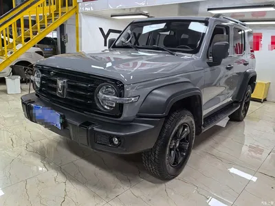 2021 Tank 300 Off-road Version 2.0T Conqueror, фото 1, лот 10808345
