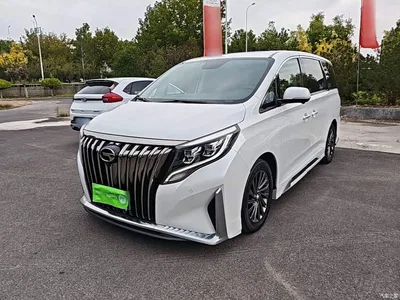 2021 GAC Trumpchi Trumpchi M8 Master Series 390T Ultimate Edition, фото 2, лот 10420821