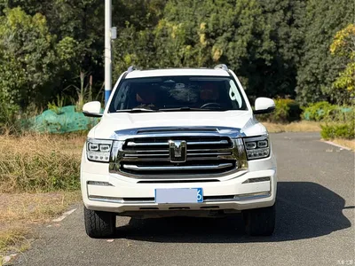 2022 Tank 500 3.0T Sport Edition Dengfeng 7-Seater, фото 2, лот 11398471