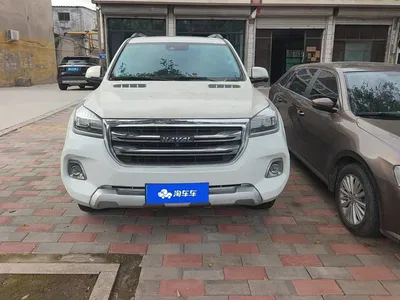 2020 Haval H9 2.0T Gasoline 4WD Premium 5-Seater, фото 2, лот 10400176
