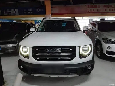 2021 Haval Big Dog Facelift 2.0T DCT AWD Howling Celestial Dog Edition, фото 3, лот 10361278