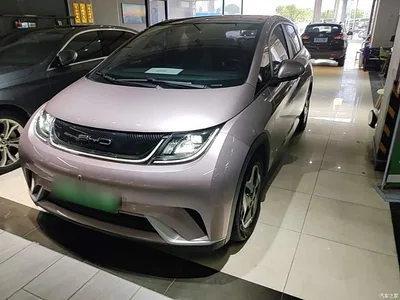 2021 BYD Dolphin Model 405km Fashion Edition, фото 2, лот 11179008