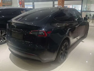 2021 Tesla Model Y Standard Range Rear-Wheel Drive, фото 3, лот 11249745