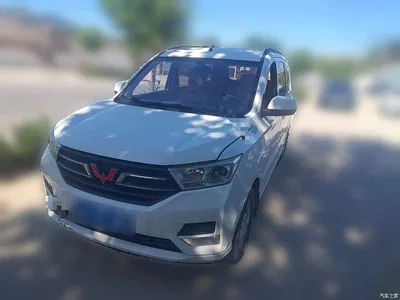 2019 Wuling Motors Wuling Hongguang 1.5L S Standard China VI LAR, фото 1, лот 11550253