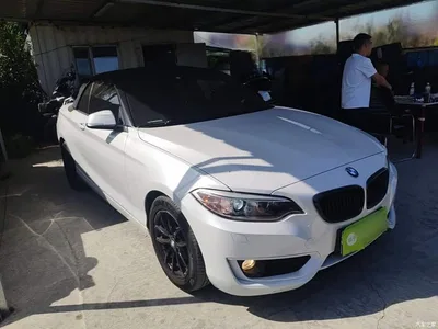 2015 BMW 2 Series (Import) 218i Convertible Coupe, фото 4, лот 11136224