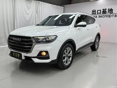 2021 Haval H6 Model National Trend Edition 1.5T Auto Champion, фото 1, лот 10282003