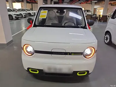 2025 Geely Galaxy Panda mini 210km Vitality Bear, фото 3, лот 11570226