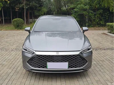 2023 BYD Qin PLUS Champion Edition DM-i 120KM Leading Type, фото 3, лот 10769092