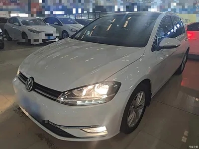 2019 Volkswagen Golf 1.6L Auto Comfort (China V), фото 3, лот 11174930
