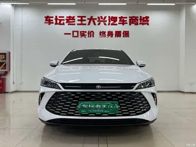 2025 BYD Qin PLUS DM-i Smart Drive 55KM Leader, фото 2, лот 10364109