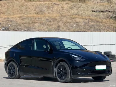 2024 Tesla Model Y Rear-Wheel Drive Version, фото 3, лот 10396200