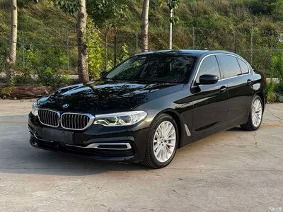 2019 BMW 5 Series New Energy Facelift 530Le Luxury Package, фото 1, лот 10474161
