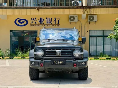2023 Tank 300 Off-Road Edition 2.0T Conqueror, фото 2, лот 10344833