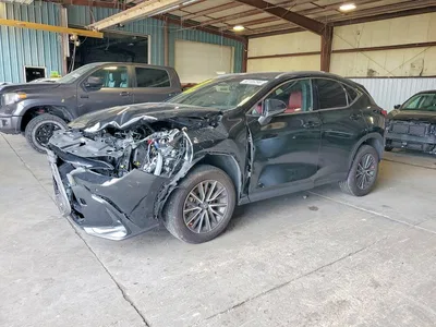 2023 LEXUS NX 350, фото 1, лот 10843628