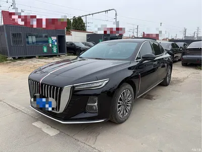 2025 Hongqi H5 1.5T DCT Qiyue 500,000 Units Commemorative Edition, фото 1, лот 10398597