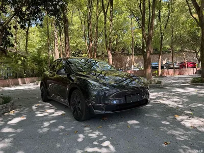 2024 Tesla Model Y Rear-Wheel Drive Version, фото 2, лот 10453253