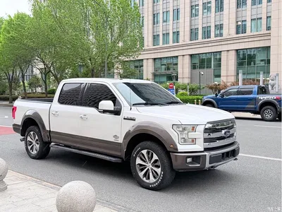 2017 Ford F-150 Raptor 3.5T Raptor Performance Edition, фото 2, лот 10297996