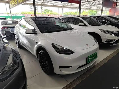 2023 Tesla Model Y Rear-Wheel Drive Edition, фото 4, лот 10888905
