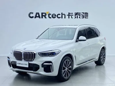 2022 BMW X5 Facelift xDrive 30Li Premium M Sport Package, фото 1, лот 10387711