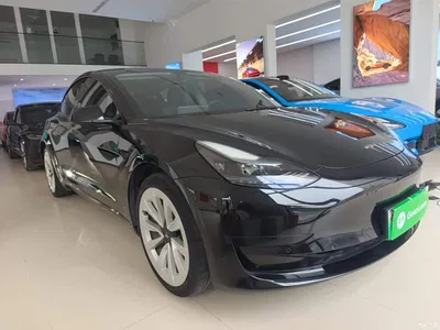 2022 Tesla Model 3 Model Rear-Wheel Drive Version, фото 4, лот 10370420