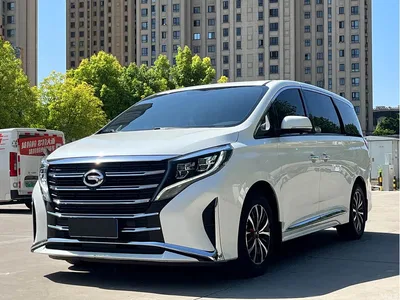 2021 GAC Trumpchi Trumpchi M8 Leading Show Series 390T Luxury Edition, фото 1, лот 10415355