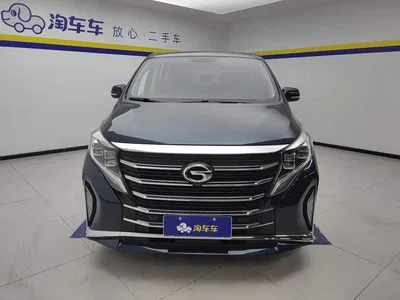 2021 GAC Trumpchi Trumpchi M8 Leading Show Series 390T Premium Edition, фото 2, лот 10415223