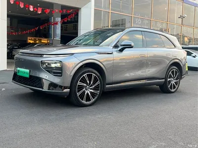 2022 XPeng G9 650 Launch Edition, фото 2, лот 11225069