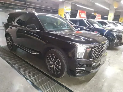 2024 GAC Trumpchi Trumpchi GS8 Navigator Series 2.0TGDI 4WD Luxury Smart Connect Edition, фото 4, лот 10422624