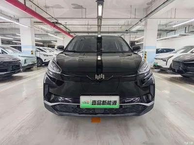 2019 Weltmeister EX5 Mate Power Alliance Edition 400, фото 2, лот 10450305