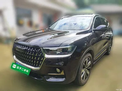 2023 Haval H6 National Trend Edition 1.5T Automatic Champion, фото 1, лот 10286829