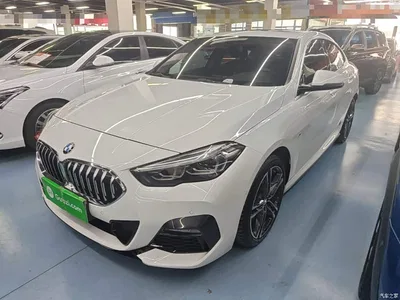 2021 BMW 2 Series (Import) 225i 4-Door Gran Coupe M Sport Package, фото 2, лот 10471520