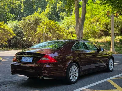 2009 Mercedes-Benz CLS 300, фото 4, лот 10299389