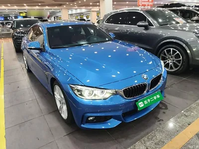2017 BMW 4 Series 425i Gran Coupe Leading M Sport Package, фото 4, лот 11216438