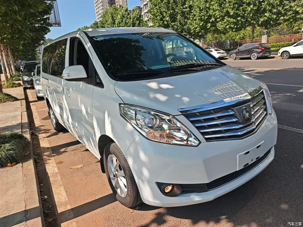 2021 Forthing Lingzhi PLUS Wagon 2.0L Manual Luxury 7-Seater, фото 4, лот 10413581