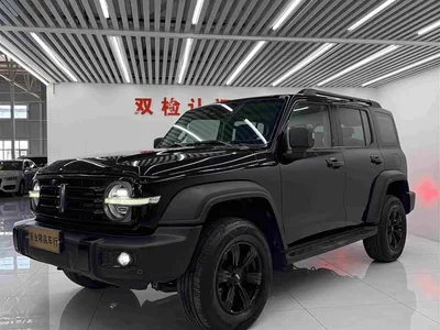 2021 Tank 300 Off-road Version 2.0T Conqueror, фото 1, лот 11223898