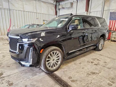 2023 CADILLAC ESCALADE ESV PREMIUM LUXURY, фото 1, лот 10635579