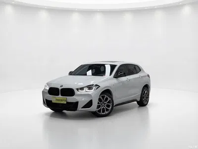 2021 BMW X2 Facelift xDrive25i Shadow Night Edition, фото 1, лот 10239031
