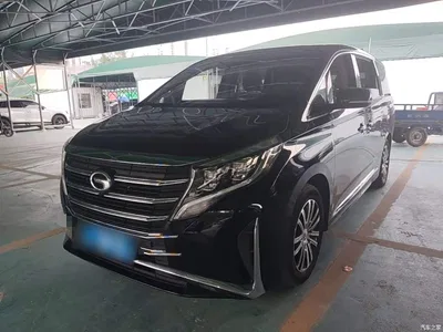 2021 GAC Trumpchi Trumpchi M8 Leading Show Series 390T Prestige Edition, фото 1, лот 10954934