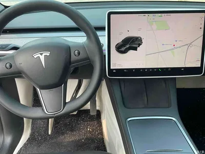 2023 Tesla Model Y Rear-Wheel Drive Edition, фото 3, лот 10383295