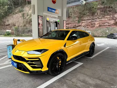2021 Lamborghini Urus 4.0T V8, фото 1, лот 10309714