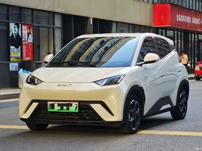 2024 BYD Seagull Glory Edition 405km Soaring Edition, фото 1, лот 10257465