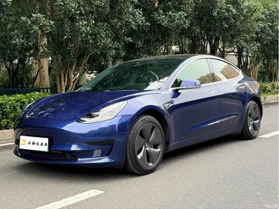 2019 Tesla Model 3 Standard Range Rear-Wheel Drive Upgrade, фото 1, лот 10451215