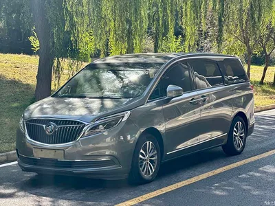 2017 Buick GL8 ES 28T Flagship China V, фото 1, лот 10256464