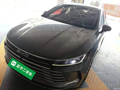2023 BYD Destroyer 05 Champion Edition DM-i 55KM Luxury, фото 2, лот 10260479