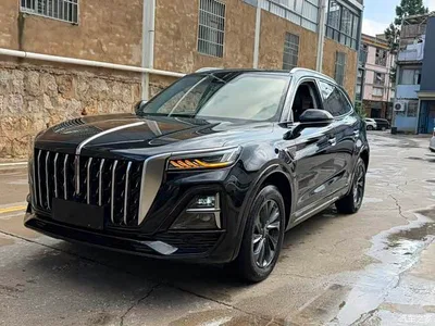2023 Hongqi HS5 2.0T Flag Enjoy Pro Edition, фото 1, лот 10415743