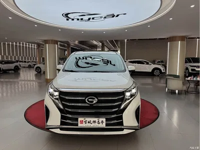 2024 GAC Trumpchi Trumpchi M8 Leadershow Series 390T Luxury Edition, фото 2, лот 10414551