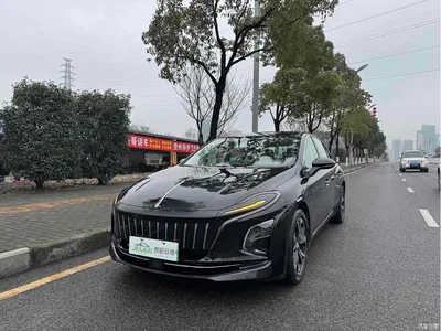 2023 Hongqi E-QM5 Basic Travel Edition, фото 2, лот 10288400