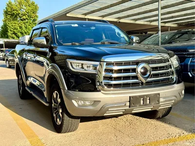 2021 Great Wall Pao 2.0T Passenger Global Edition Automatic Diesel 4WD Premium Standard Box GW4D20M, фото 3, лот 11438986
