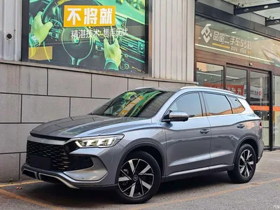 2023 BYD Song Pro New Energy Champion Edition DM-i 110KM Excellence, фото 1, лот 10274663